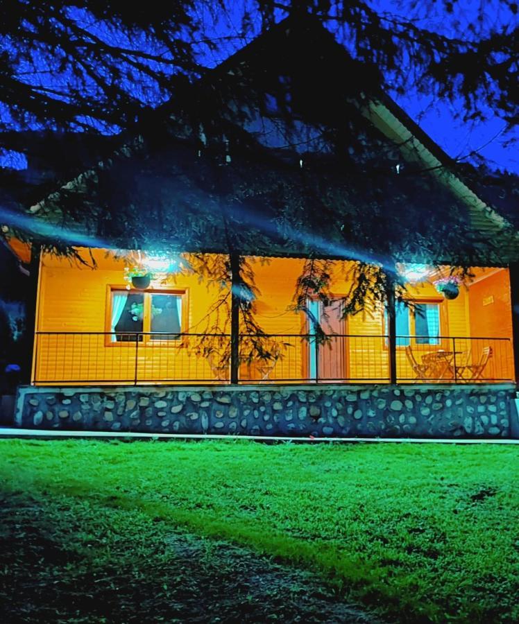 Sezatoarea Lupilor Villa Lepsa Exterior photo