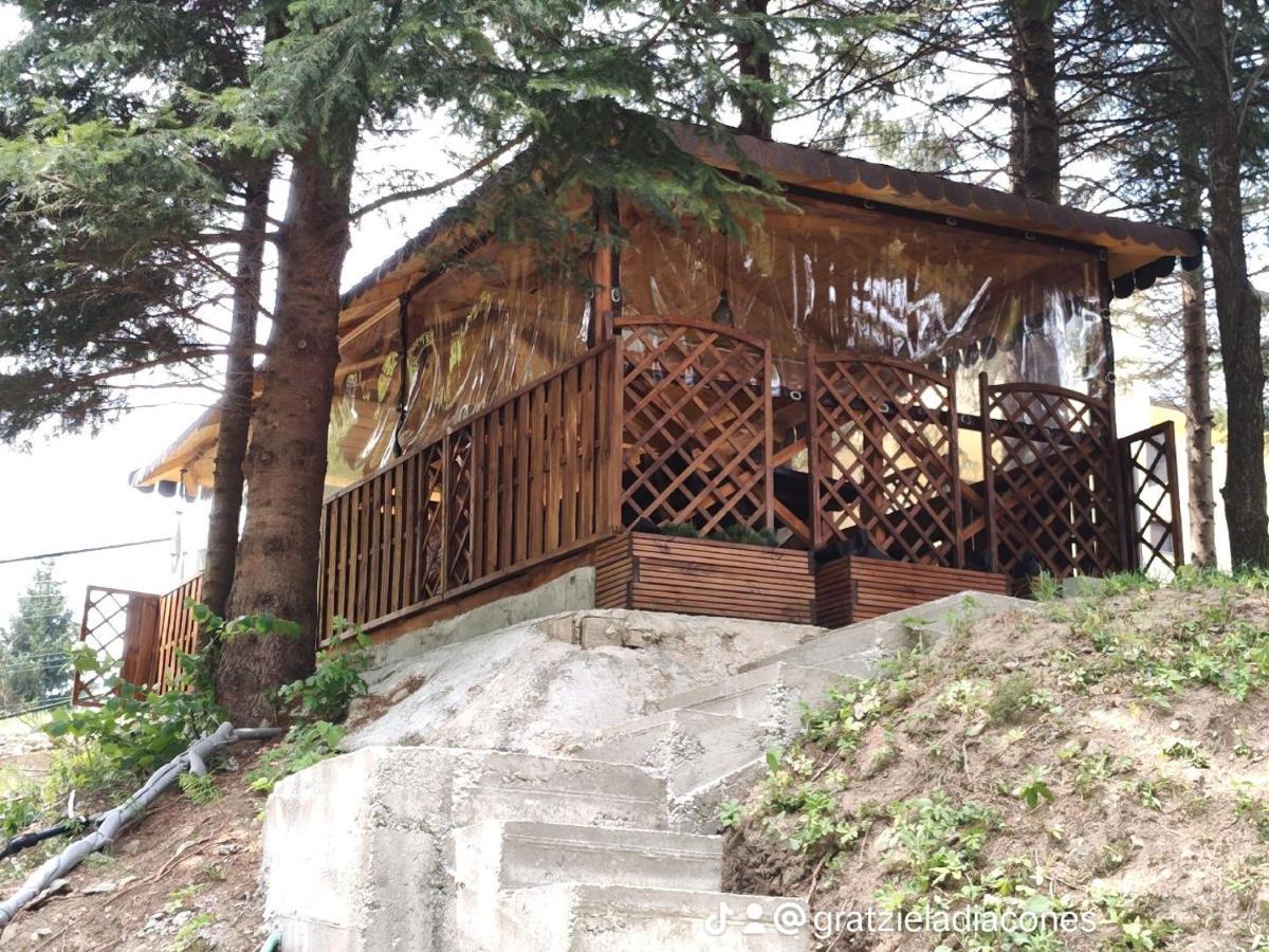 Sezatoarea Lupilor Villa Lepsa Exterior photo